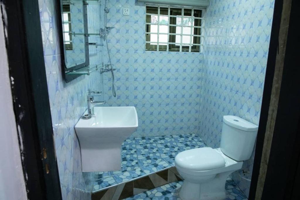阿克拉Holly House的一间带卫生间、水槽和镜子的浴室