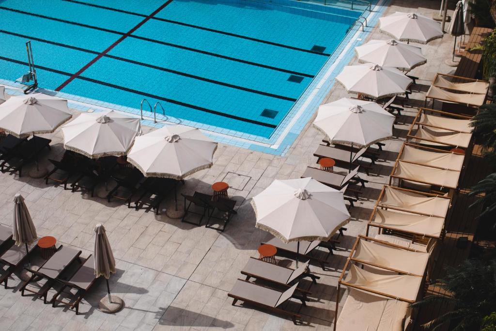 埃拉特阿特拉斯诺瓦莱克酒店的享有带椅子和遮阳伞的游泳池的上方景色