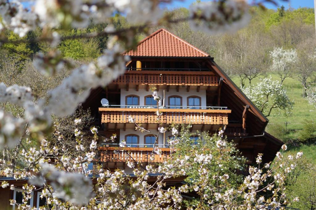 巴特彼得斯塔尔-格里斯巴赫库尔帕克法特酒店的一座大型木房子,设有红色屋顶