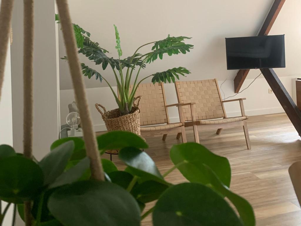 迪尔森-斯托科姆Zolder appartement Le Grenier的客厅配有椅子和盆栽植物
