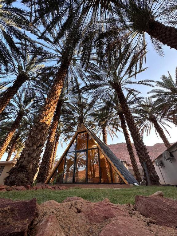 欧拉كوخ توتو الريفي的一座金字塔形的建筑,前面有棕榈树