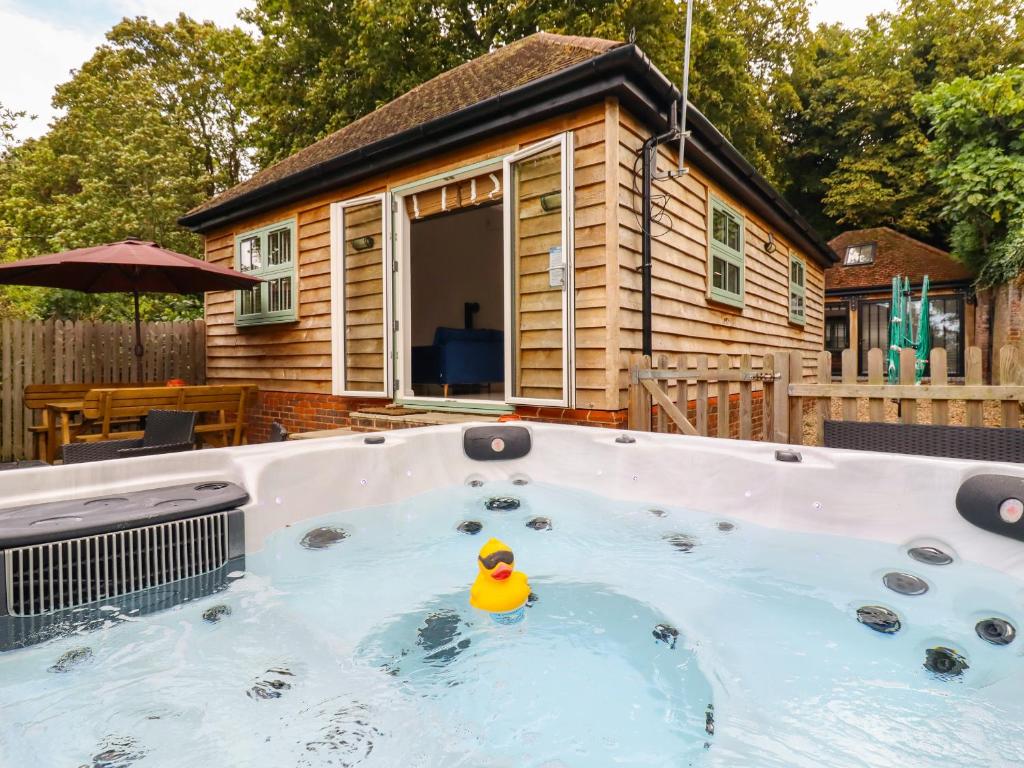 KestonDreamwood Lodge的屋前热水浴池里的橡皮鸭
