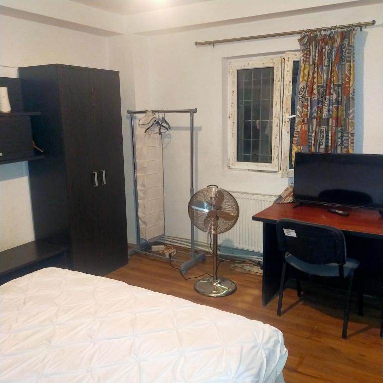 布加勒斯特Vila ELENA Ap 1的一间卧室配有一张床和一张带电脑的书桌
