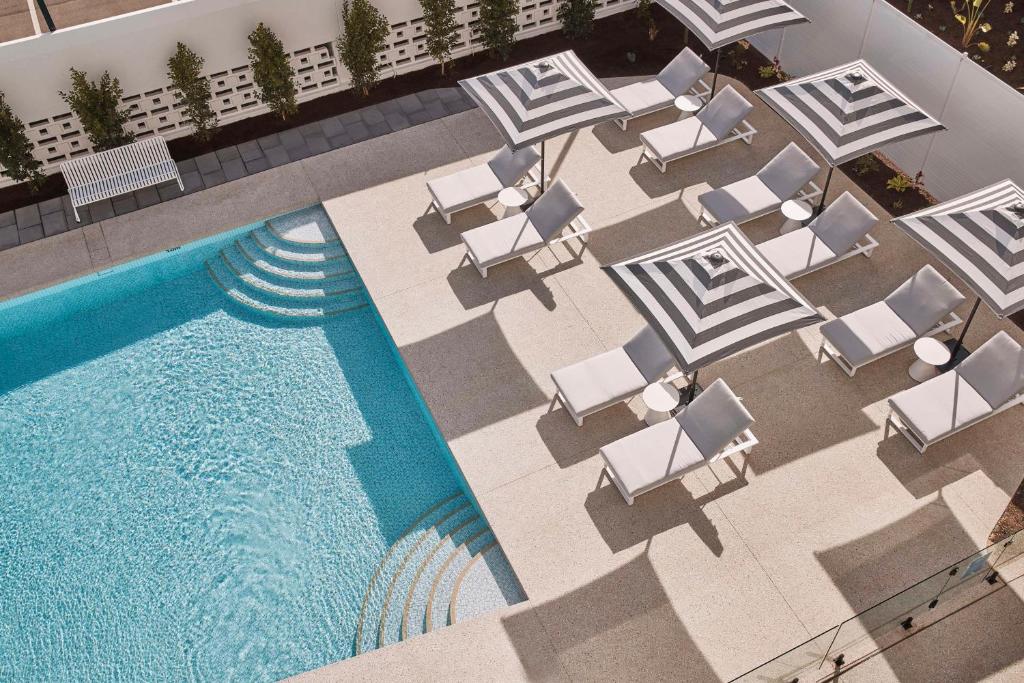 阿德莱德Hotel Alba Adelaide的享有带躺椅的游泳池和游泳池的顶部景致