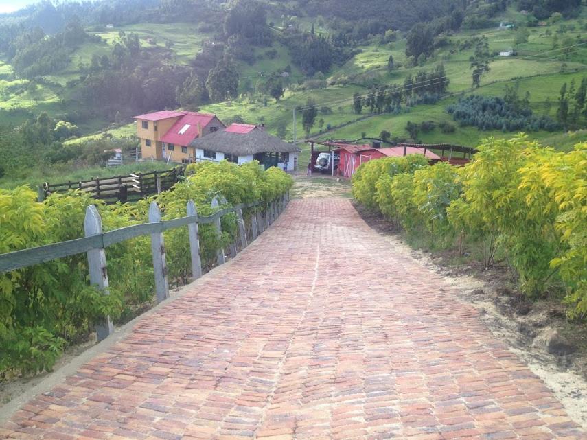 杜伊塔马Cabaña Campestre La Esperanza的一条通往山丘上房屋的砖路