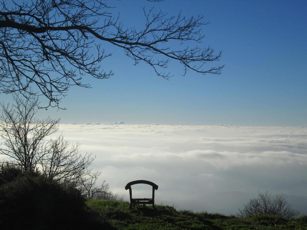 蒙希克Montalma的坐在云顶上山丘上的长凳