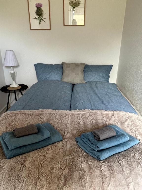 Vester-SkerningeBed House By Me的卧室里一张带蓝色枕头的床