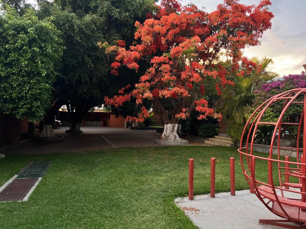 绍其德贝克Hotel Posada Andaluz的院子里红色的花朵