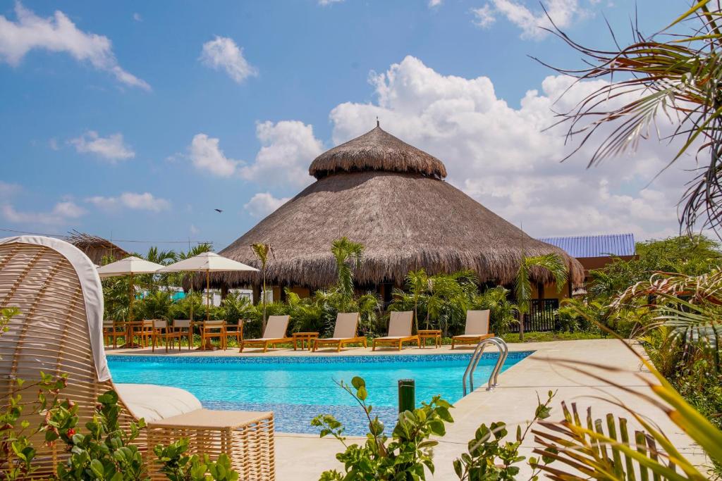 里奥阿查GUAJIRA CASA DEL MAR的度假村的游泳池,带椅子和茅草屋顶