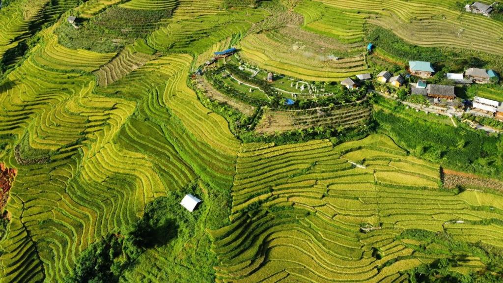 老街市O'chau Homestay Sapa的空中景色,从梯田看