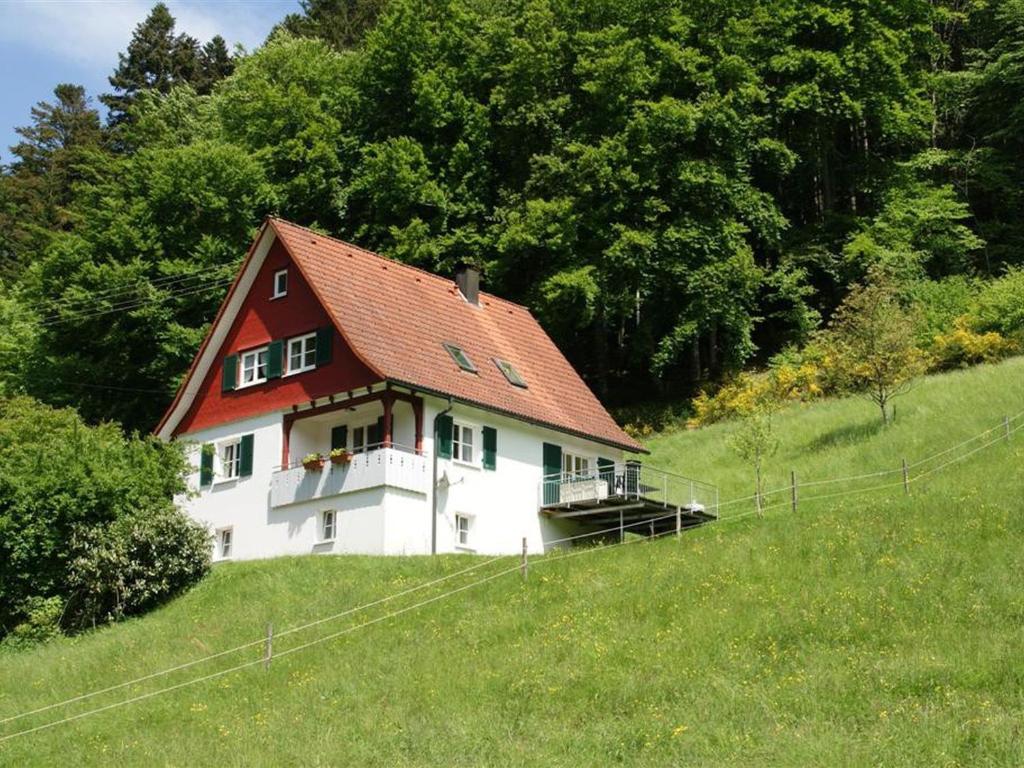 斯堪肯塞尔Haus 1 Hanselishof - 2 Wohnungen的山坡上一座白色房子,屋顶红色