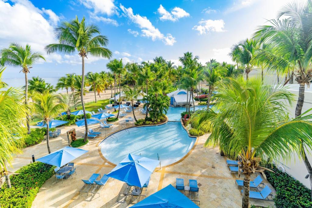 圣胡安佛得岛海滩万豪万怡度假酒店的棕榈树度假村泳池的空中景致