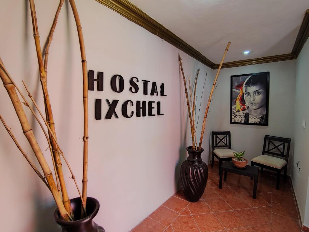 巴利亚多利德Hostal Ixchel - WiFi, Hot Water, AC, in Valladolid Downtown的墙上有花瓶和标志的走廊