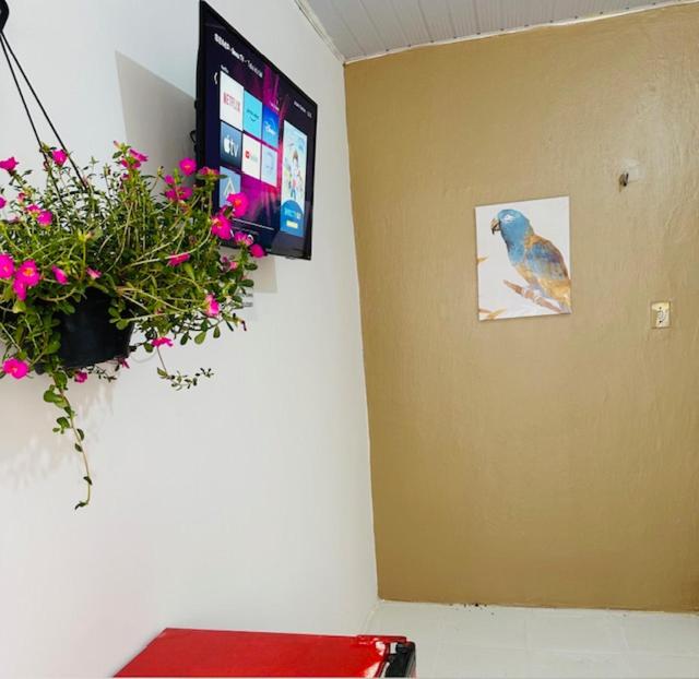 贝伦Hostel das Flores的一间有盆栽植物的房间,一张鸟的照片