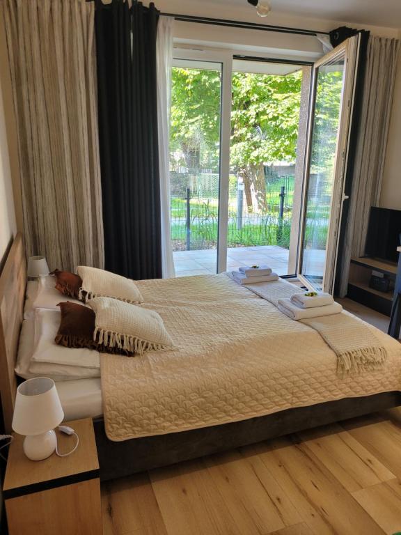 埃尔布隆格Apartament przy Starówce的一间卧室设有一张大床和大窗户