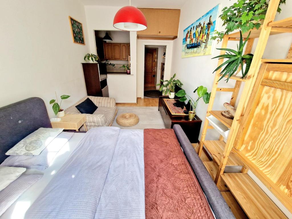 奥普尔INNY Apartament Rynek Opole的一间卧室设有一张床和一间客厅。