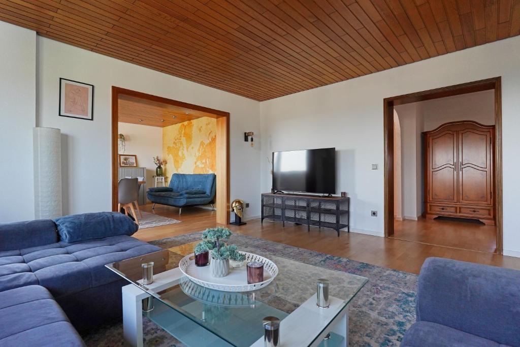魏因海姆Tolle Wohnung mit Panoramablick的客厅配有蓝色的沙发和电视
