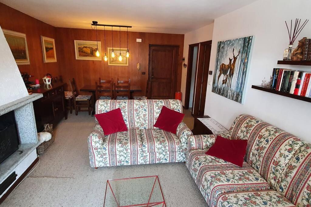 摩德纳迪-坎皮格里奥Appartamento a Campo Carlo Magno的客厅设有两张沙发和一个壁炉