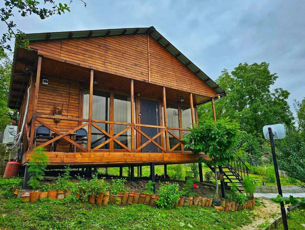 AgaraRacha Nanida的院子内带窗户和植物的木屋