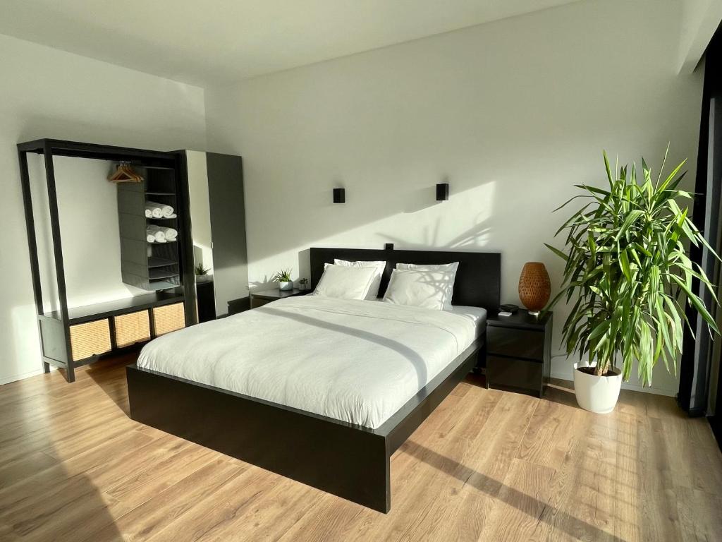 BierbeekBierBee的一间卧室配有一张床和两盆植物