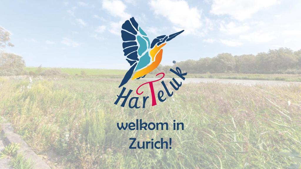 ZurichHarTeluk Afsluitdijk Zurich的鸟飞过田野的标志