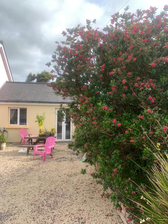 丁格尔Tig Monbretia的一座带粉红色椅子的房子和一座带粉红色花卉的灌木丛