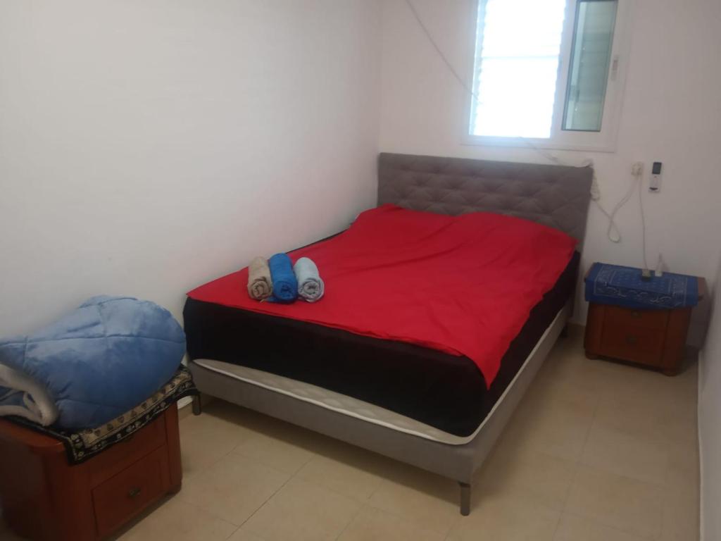 里雄莱锡安דירת שי的一间卧室配有一张带红色床单的床和2个拖鞋