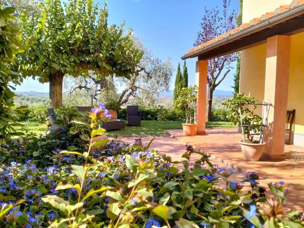 芬奇Affittacamere Acquaria-Vinci的庭院里种着蓝色花的花园