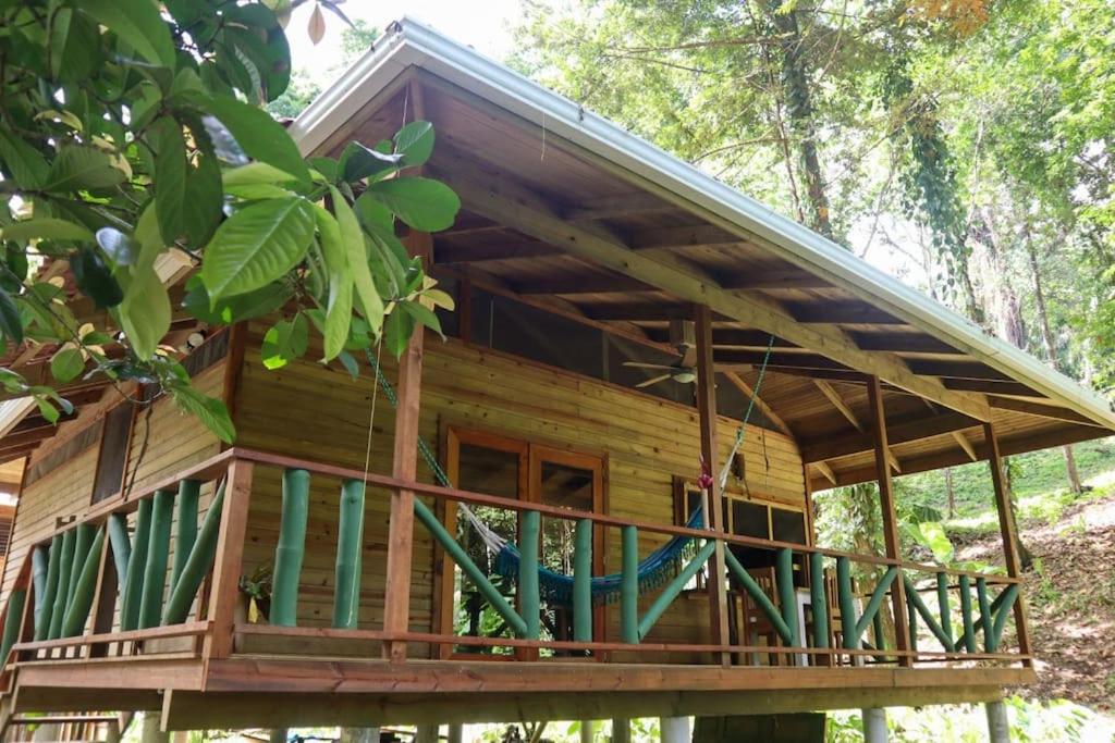 博卡斯德尔托罗Jungle beach 2 bedroom cottage的树林里的木头小屋