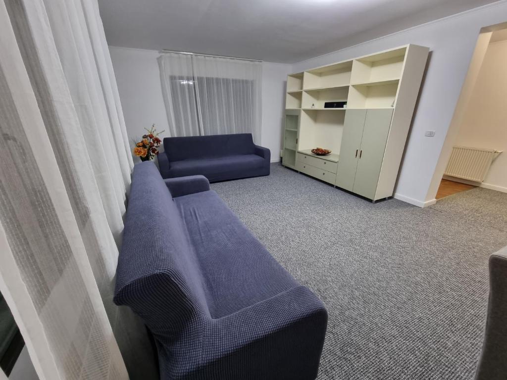 Letea VecheCasa Sava的客厅配有蓝色的沙发和橱柜。