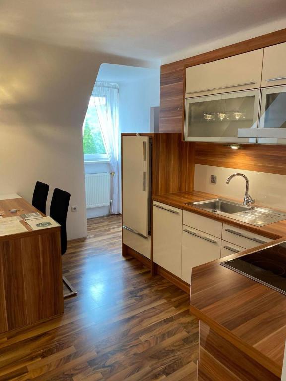 林茨Montel PARK - Linz Danube River的厨房配有木制橱柜和台面