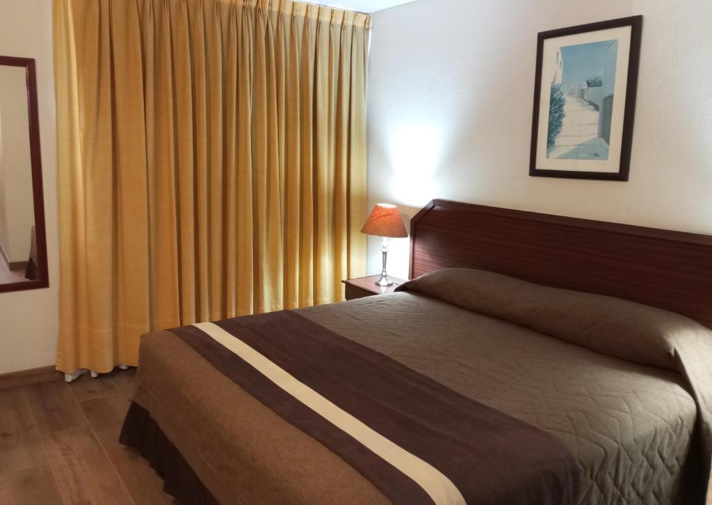 圣地亚哥阿尔卡拉德尔里奥酒店的一间卧室设有床和黄色窗帘的窗户