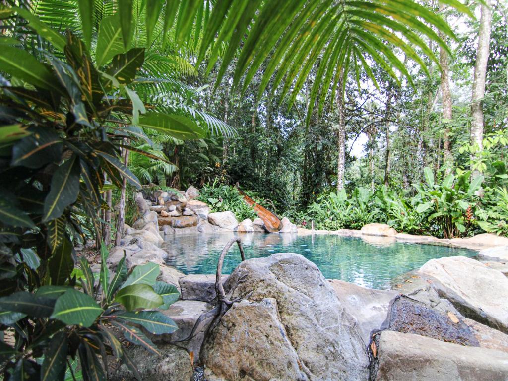 Chachagua Rainforest Hotel &amp; Hot Springs内部或周边的泳池
