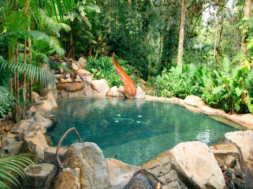 福尔图纳Chachagua Rainforest Hotel &amp; Hot Springs的水池里放着橘子鱼