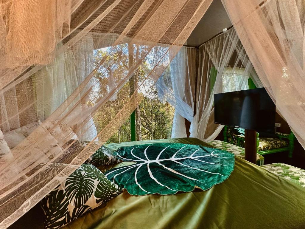 布埃诺布兰当Sequoia Casa na Árvore, Vila Mágica的一间卧室配有一张带天蓬和窗户的床