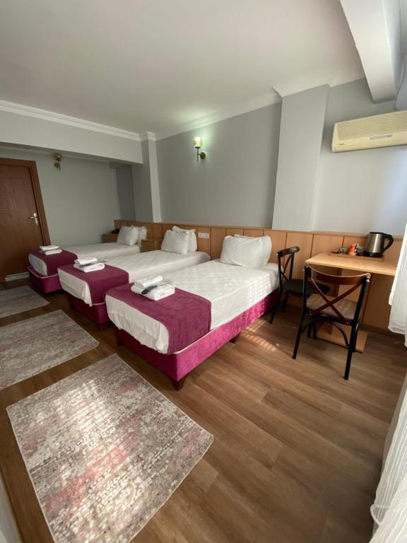 伊斯坦布尔HOTEL ÖZSEFA的客房设有两张床、一张桌子和一张书桌。