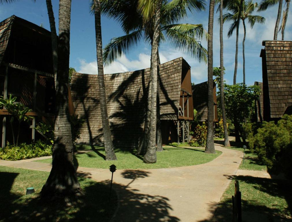 考纳卡凯Hotel Moloka'i的棕榈树房屋和小径
