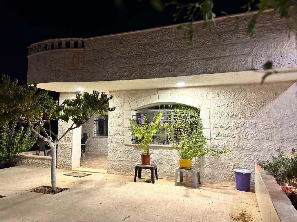 杰拉什apartment between ajloun castle and Jerash ruins的两株盆栽植物坐在凳子上的建筑物