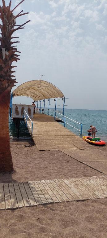 拉瑞Karavan tosbik的海滩上的人与一个码头