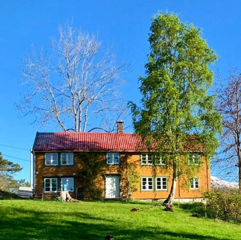 莫尔德Draget gård的红屋顶和树的大型砖屋