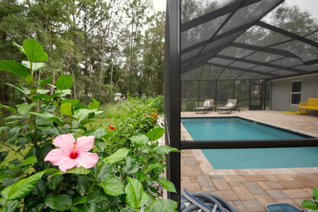 邓内伦Pet-friendly, Heated Pool, Close to Everything 3 Bedroom Home的一个带游泳池和粉红色花的花园