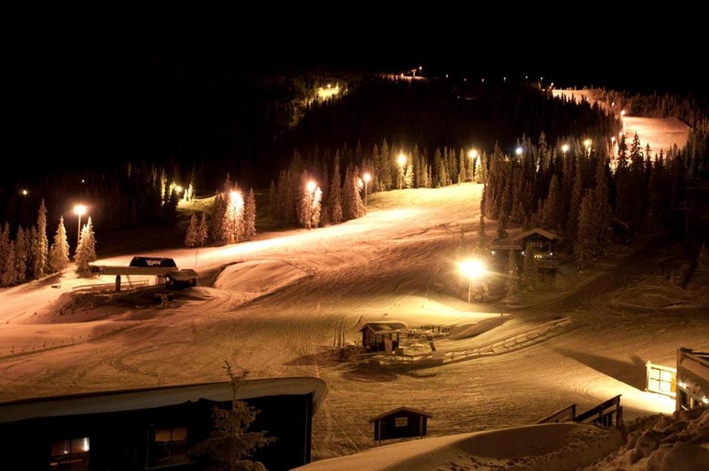 科威费耶尔Kvitfjell Alpinhytter Kvitfjellvegen 492的雪覆盖的滑雪场,晚上有灯光