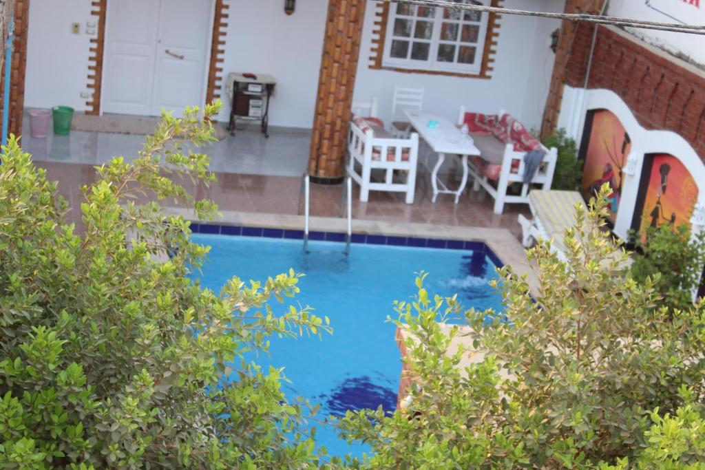 卢克索Mama Africa Apts & Studios的一座房子后院的游泳池