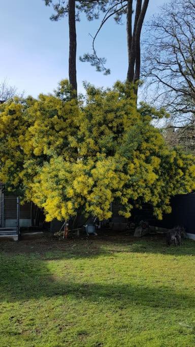 Charmante villa br&eacute;vinoise proche de l&#39;oc&eacute;an&#x5916;&#x9762;&#x7684;&#x82B1;&#x56ED;