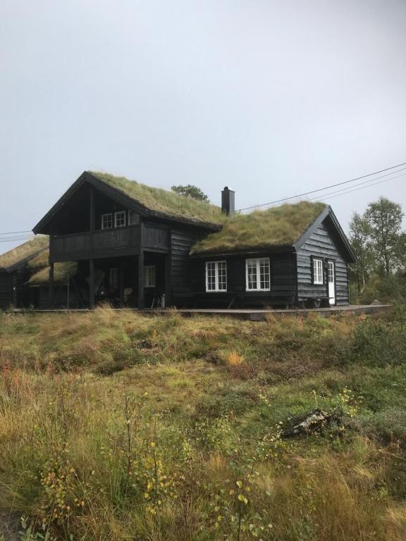 霍夫登Remestøylflotti Hyttegrend的一座带草地屋顶的黑色房子