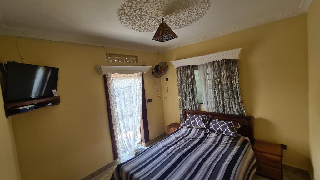 图阿马西纳Logement Petit Studio Salazamay Tamatave Madagascar的一间卧室设有一张床、一台电视和一个窗口。
