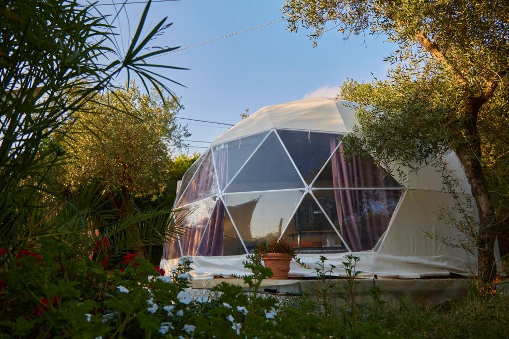 伊特里Glamping Domes San Martino的花园内树木繁茂的大型圆顶帐篷