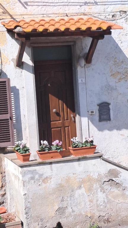 布拉恰诺La casa nel borgo的建筑上一扇带花盆的窗户