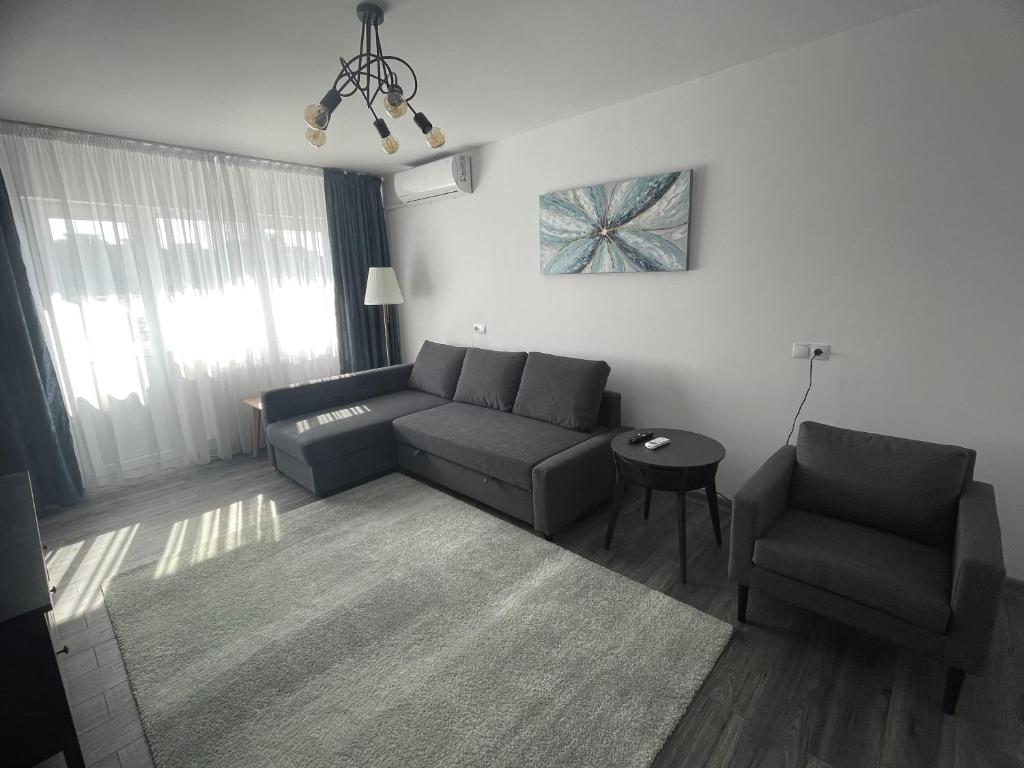 BuzăuVulcan Apartment的客厅配有沙发和椅子
