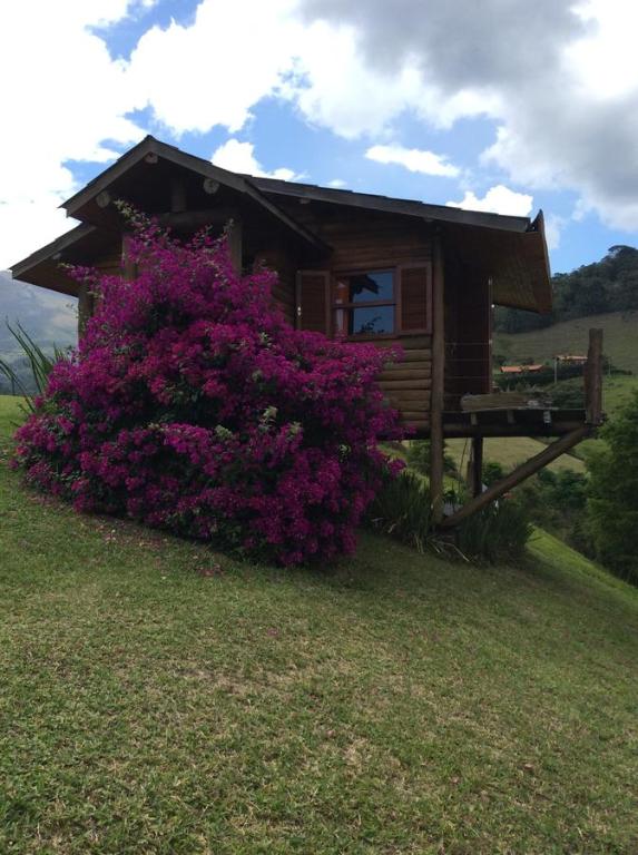 维奥康德马奥Cabana Vista Maravilhosa的前面有紫色花的小小屋